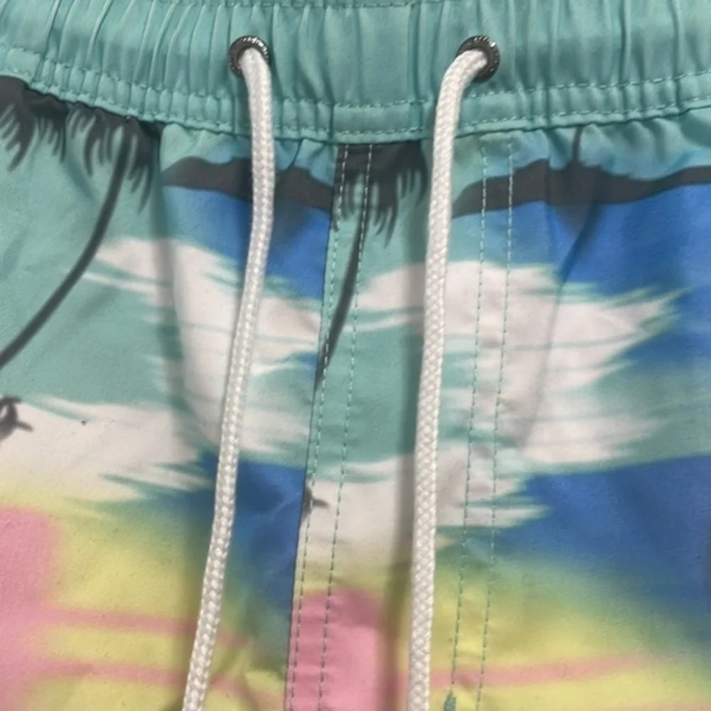 Neff Mens Vlly Hot Tub duck blue swim wear NWT Sz Large